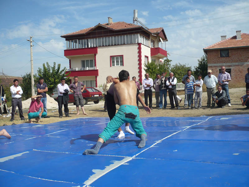P1040549
