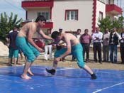 P1040550