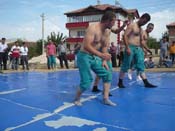 P1040560