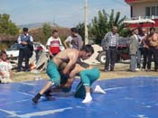 P1040588