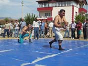P1040605