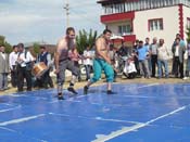 P1040607