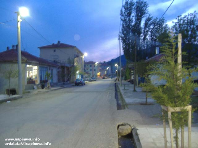 DSCF4183